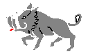 Greyboar